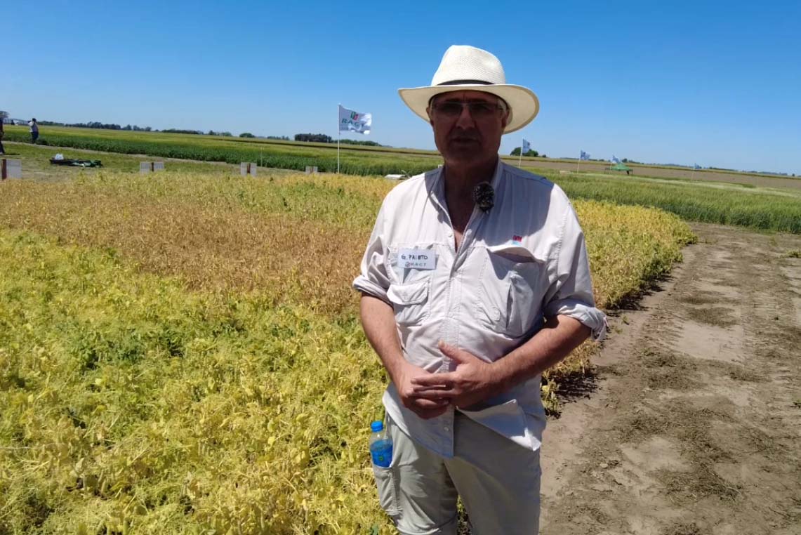 Gabriel Prieto , Jefe de la Agencia  INTA Arroyo Seco en Expo RAGT Semillas. Manejo integral de arvejas.